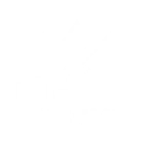 Digital Kingsmen logo